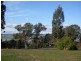 599 West Tamar Highway, Riverside TAS 7250