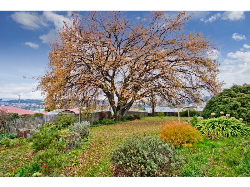 1A Duke Street, West Launceston TAS 7250