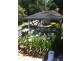 294 Upper York Street, West Launceston TAS 7250