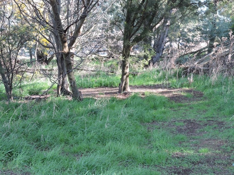 113A Ravenswood Road, Ravenswood TAS 7250