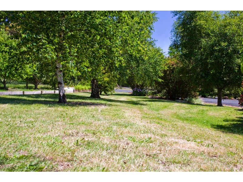 35 New Ecclestone Road, Riverside TAS 7250