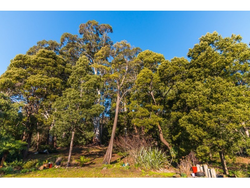 76 Walkers Road, Lilydale TAS 7268