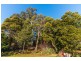 76 Walkers Road, Lilydale TAS 7268