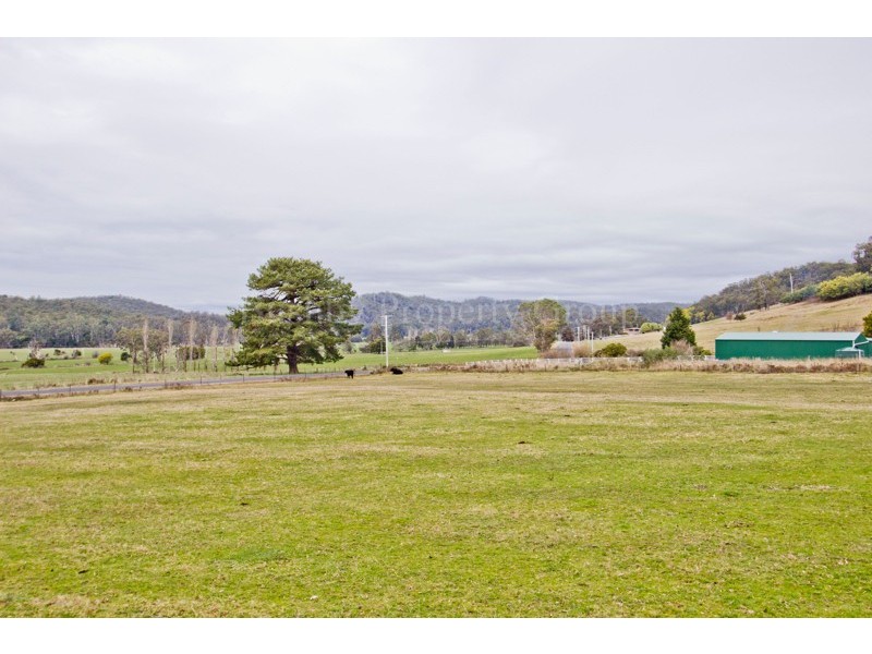 300 Flowery Gully Road, Flowery Gully TAS 7270