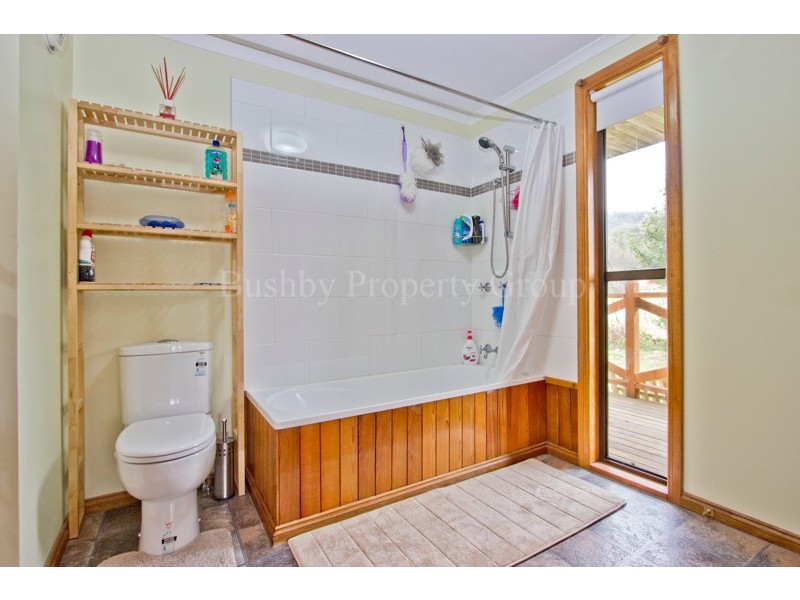 300 Flowery Gully Road, Flowery Gully TAS 7270