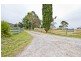 300 Flowery Gully Road, Flowery Gully TAS 7270