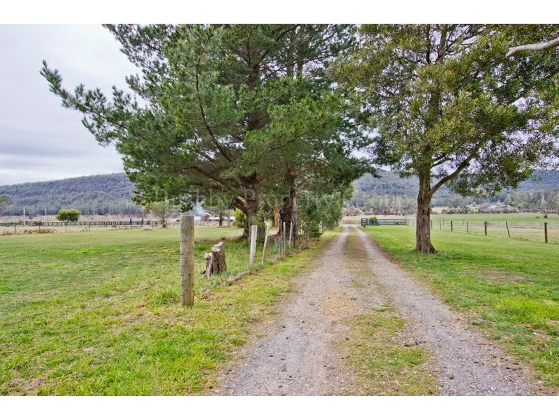 300 Flowery Gully Road, Flowery Gully TAS 7270