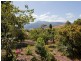 81 Station Road, Lilydale TAS 7268