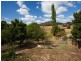 81 Station Road, Lilydale TAS 7268