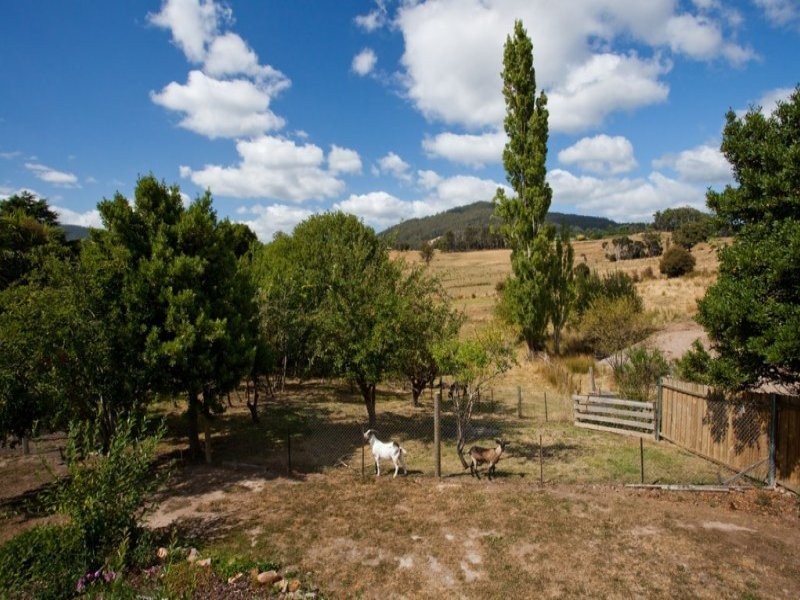 81 Station Road, Lilydale TAS 7268