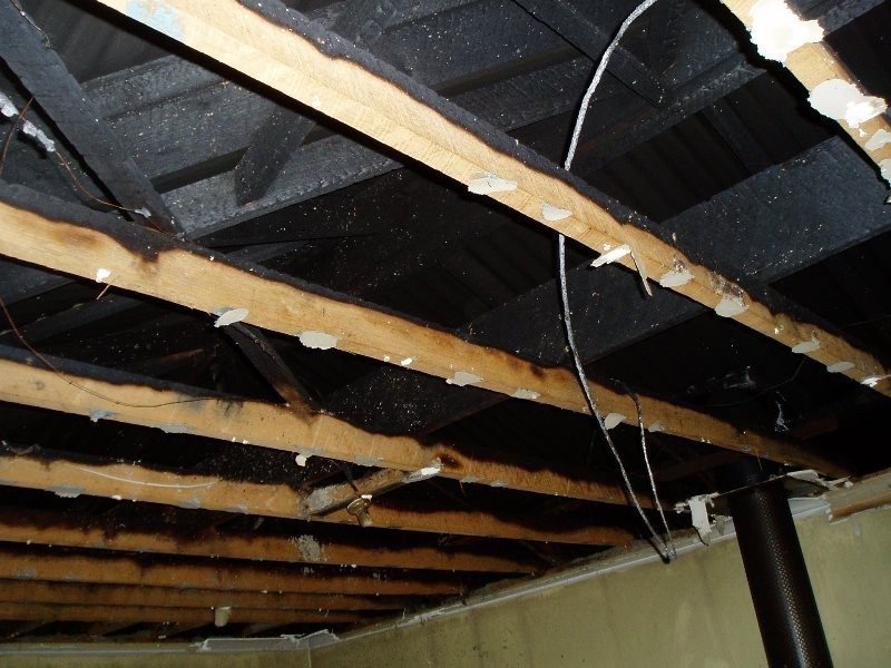 19 Cupania Street, Rocherlea TAS 7248