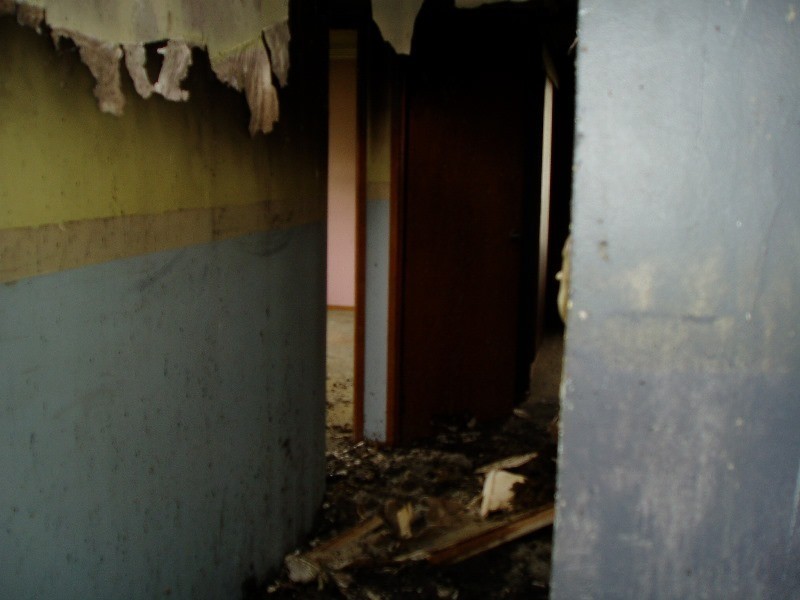 19 Cupania Street, Rocherlea TAS 7248