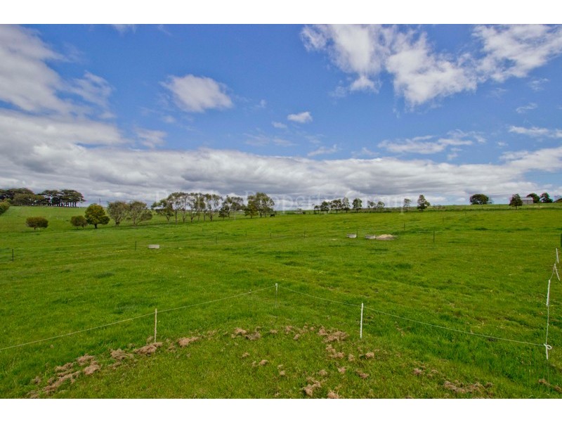 542 Rowella Road, Rowella TAS 7270