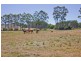 2598 Frankford Road., Frankford TAS 7275