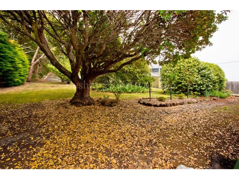 28 Rosevears Drive, Lanena TAS 7275