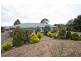 369 Bishopsbourne Road, Carrick TAS 7291