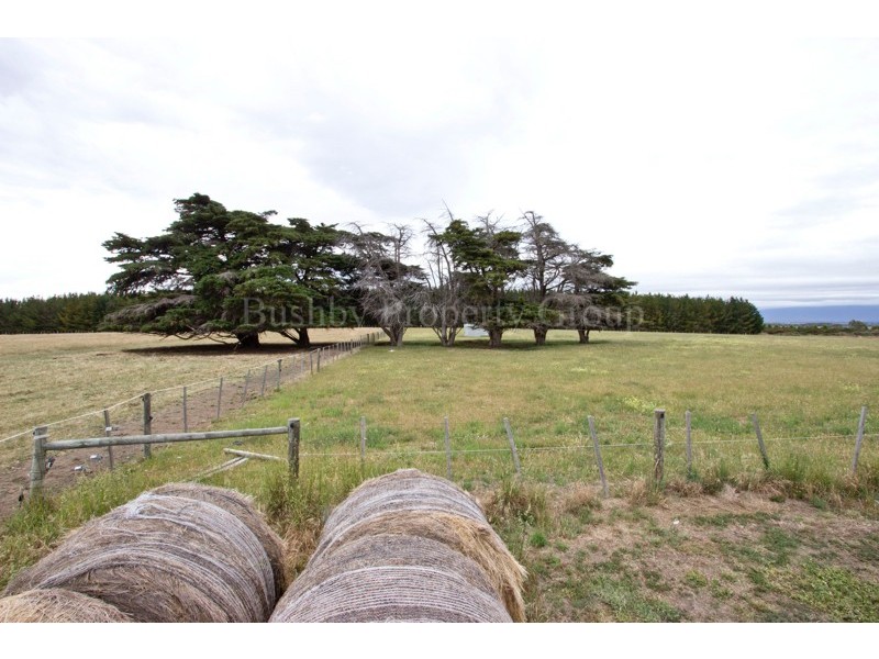 369 Bishopsbourne Road, Carrick TAS 7291