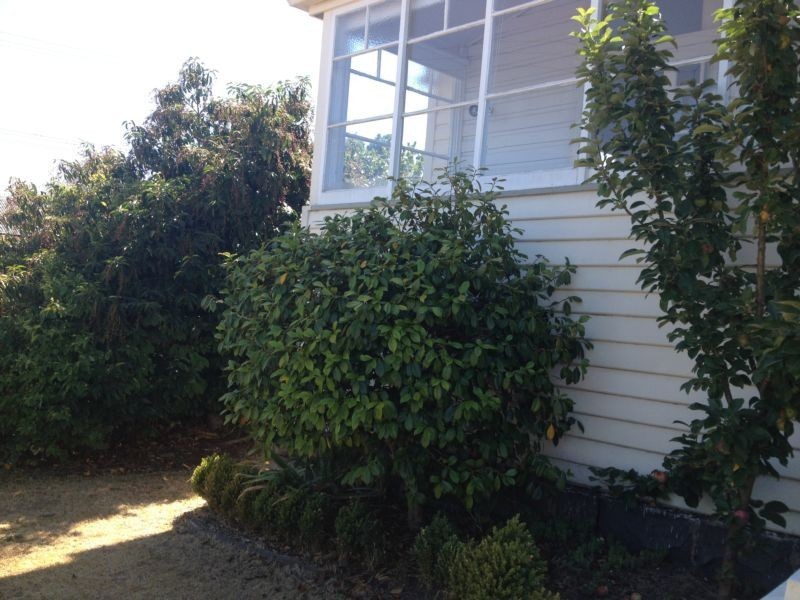 39 Abbott Street, East Launceston TAS 7250