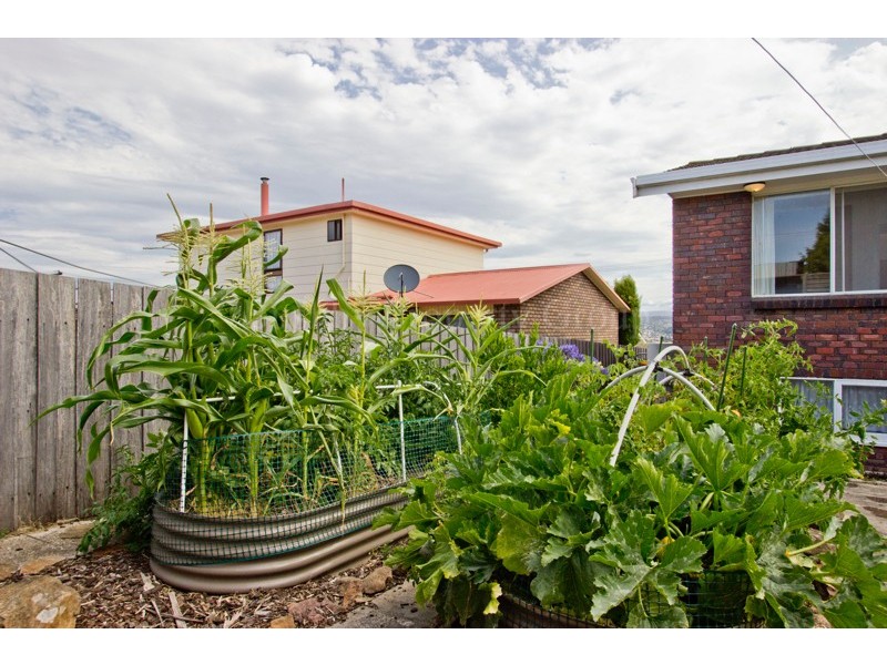 28 Julie Crescent, Newnham TAS 7248