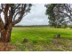 40 Soldiers Settlement Road, George Town TAS 7253