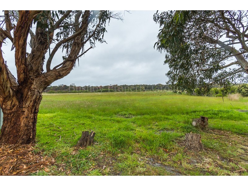 40 Soldiers Settlement Road, George Town TAS 7253