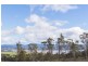 22 Ardea Drive, Swan Bay TAS 7252