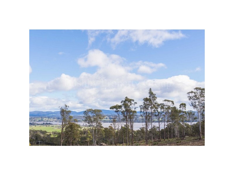 22 Ardea Drive, Swan Bay TAS 7252