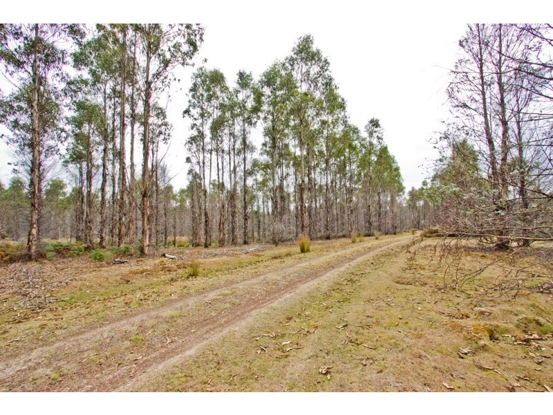 PID 646598 Pipers River Road, Pipers River TAS 7252