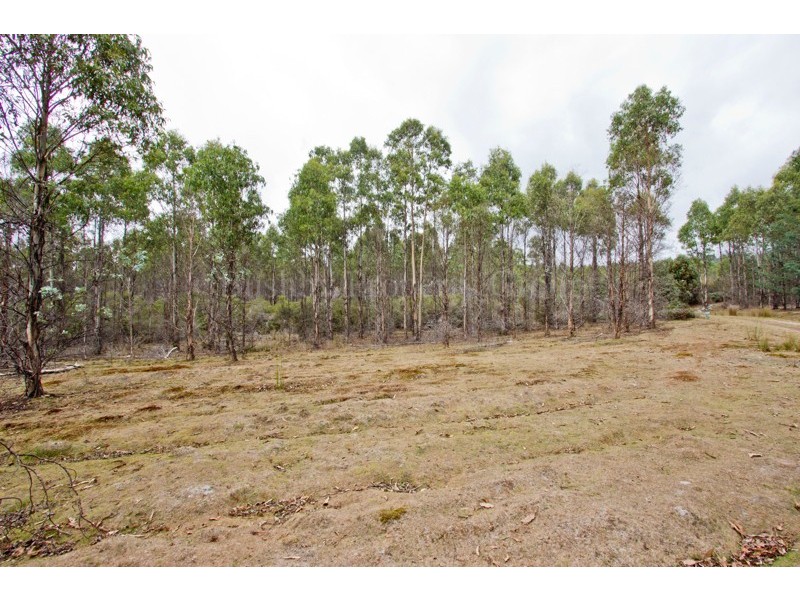 PID 646598 Pipers River Road, Pipers River TAS 7252