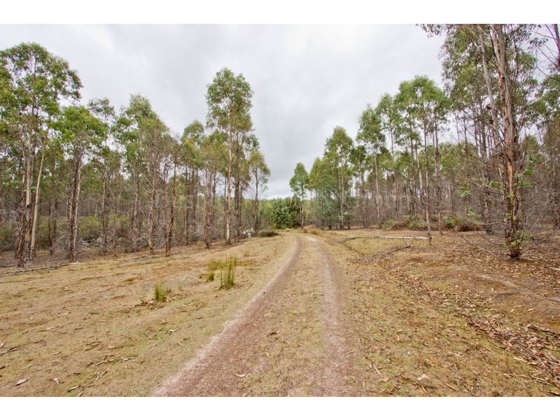 PID 646598 Pipers River Road, Pipers River TAS 7252