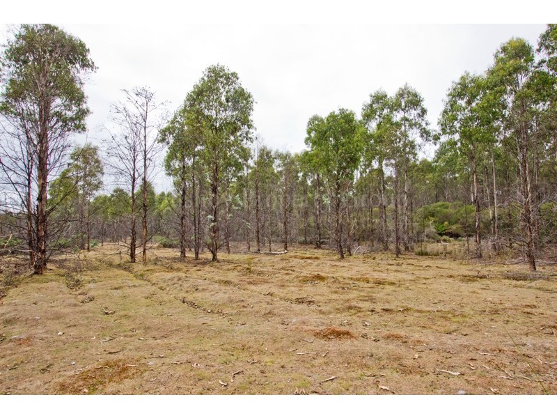 PID 646598 Pipers River Road, Pipers River TAS 7252