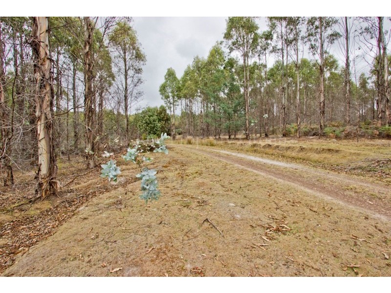 PID 646598 Pipers River Road, Pipers River TAS 7252