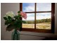2281 Deddington Road, Blessington TAS 7212