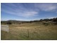 2281 Deddington Road, Blessington TAS 7212