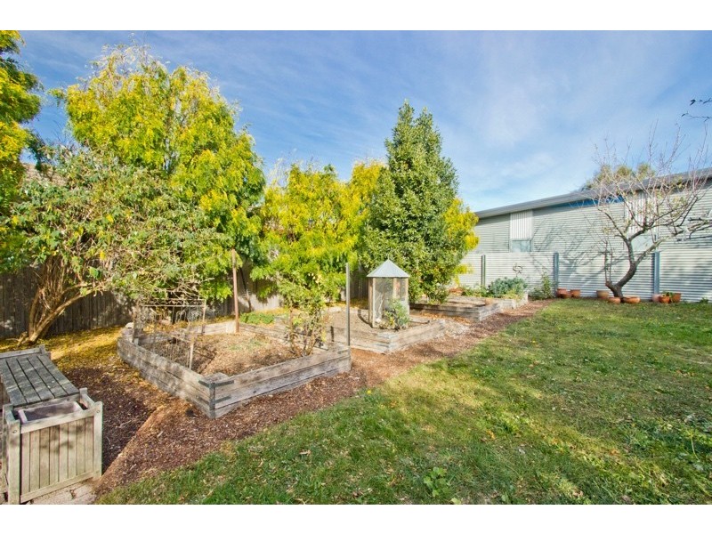 19 Lewis Street, Longford TAS 7301