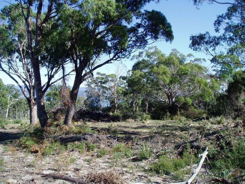 Lot 14,  Swan Bay Estate, Swan Bay TAS 7252
