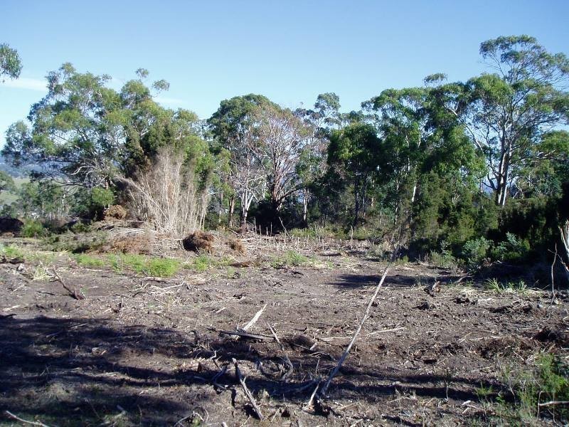 Lot 14,  Swan Bay Estate, Swan Bay TAS 7252