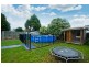 124 Viewbank Road, Newnham TAS 7248