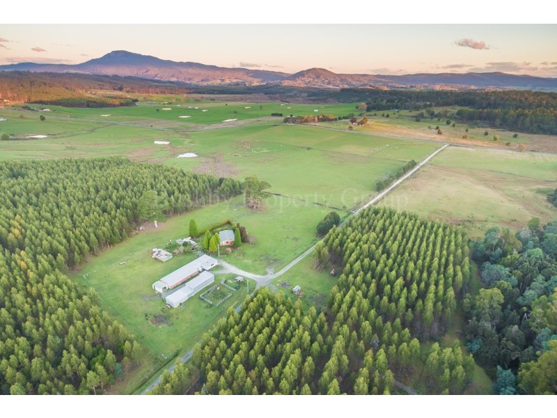 56 Geiss Road, Tunnel TAS 7254