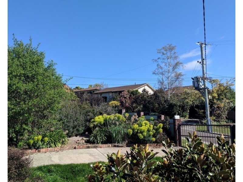 5 Woolston Street, Trevallyn TAS 7250