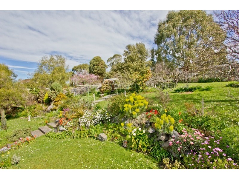 65 Dilston Road, Dilston TAS 7252
