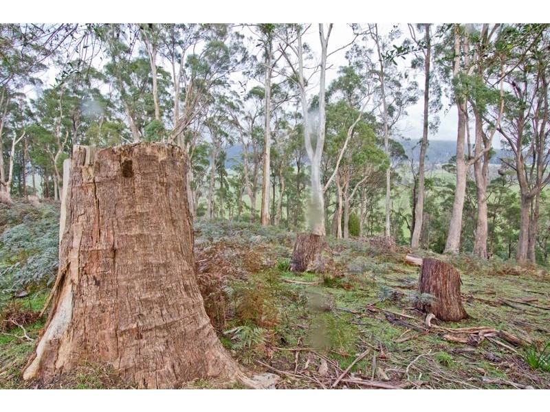 455 Bangor Road, Bangor TAS 7267