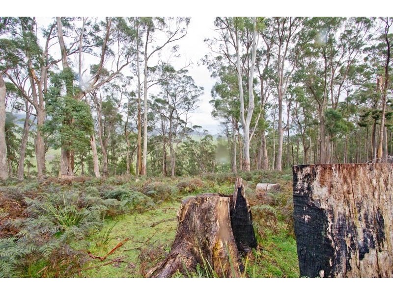 455 Bangor Road, Bangor TAS 7267