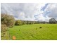 77 Loop Road, Glengarry TAS 7275