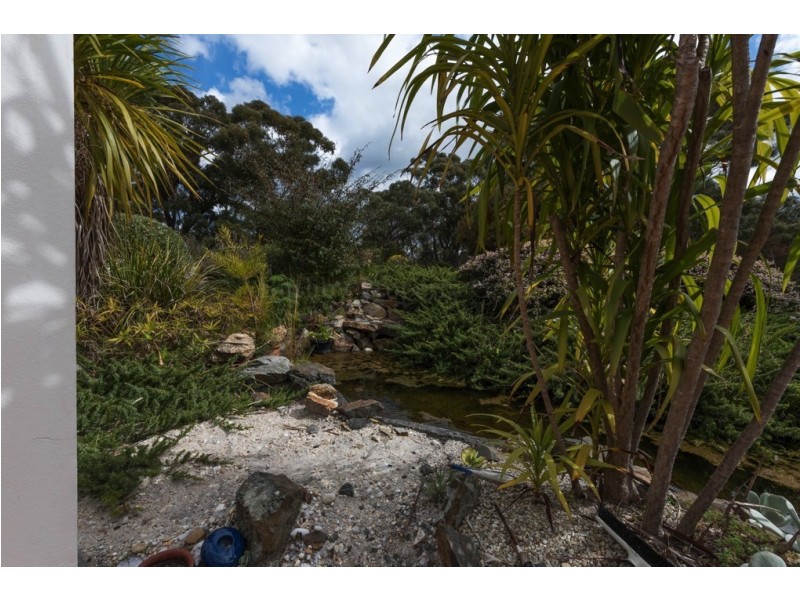 24251 Tasman Highway, St Helens TAS 7216