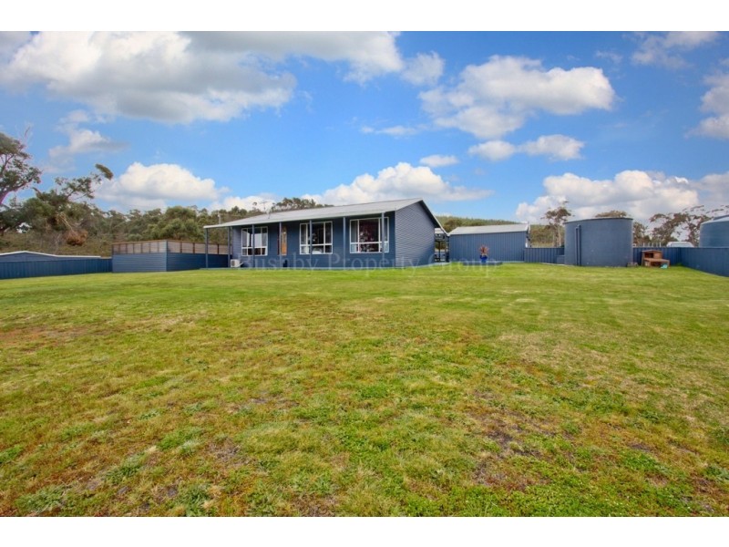 410 Bellingham Road, Bellingham TAS 7254