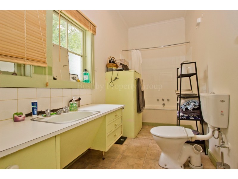 29 Windsor Street, Invermay TAS 7248