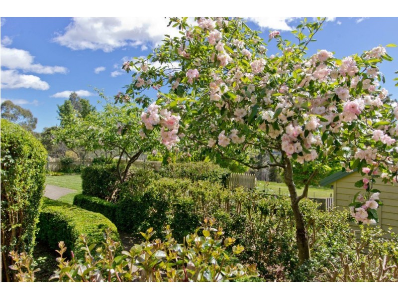 223 Bridgenorth Road, Legana TAS 7277