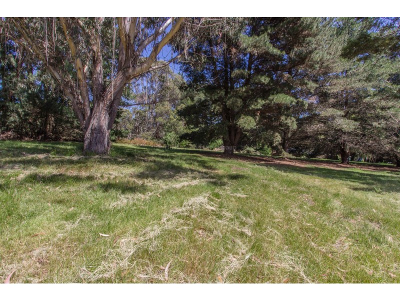 59 Danbury Drive, Legana TAS 7277