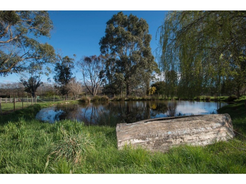 43 Mary Street, Westbury TAS 7303